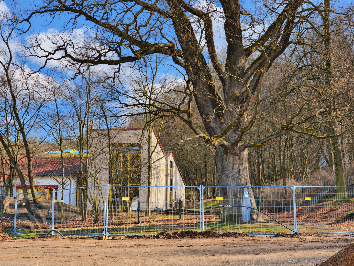 Baumpflege Klinge – Sicherungsmaßnahmen